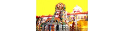 இரத்தினகிரி வேலூர் - தமிழ்நாடு